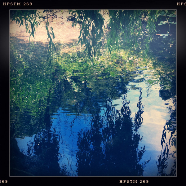 Hip 333288692.808835