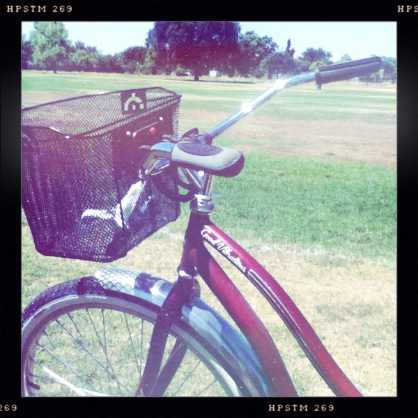 Hip 335306795.292484