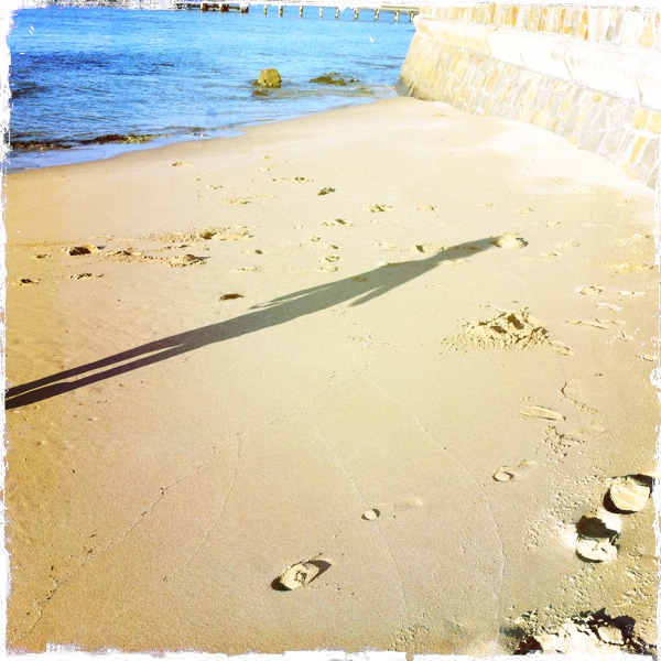 Hip 329376706.330117