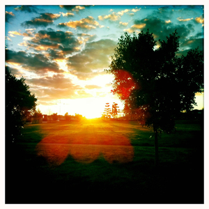 Hip 335605064.288344