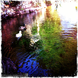 Hip 336061880.585638