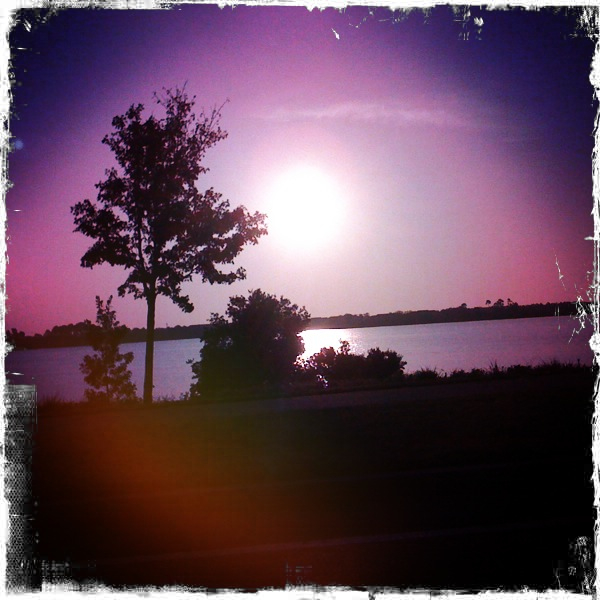 Hip 336310848.069166