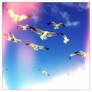 Hip 335140684.253308