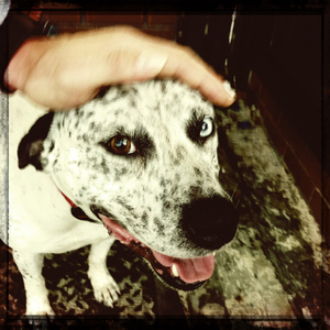 Hip 334450502.846961