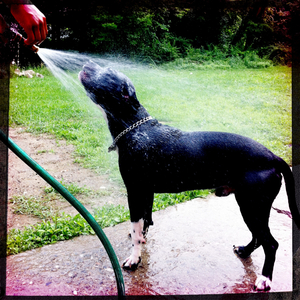 Hip 330118415.796666