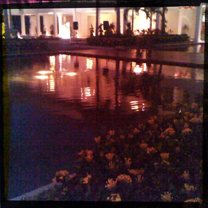 Hip 331433843.473105