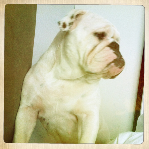 Hip 336324214.498648