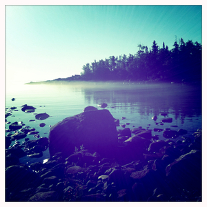 Hip 335972700.678578