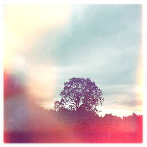 Hip 336322183.694195