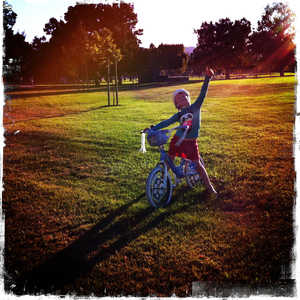 Hip 336274877.307041