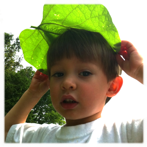 Hip 335205057.721462