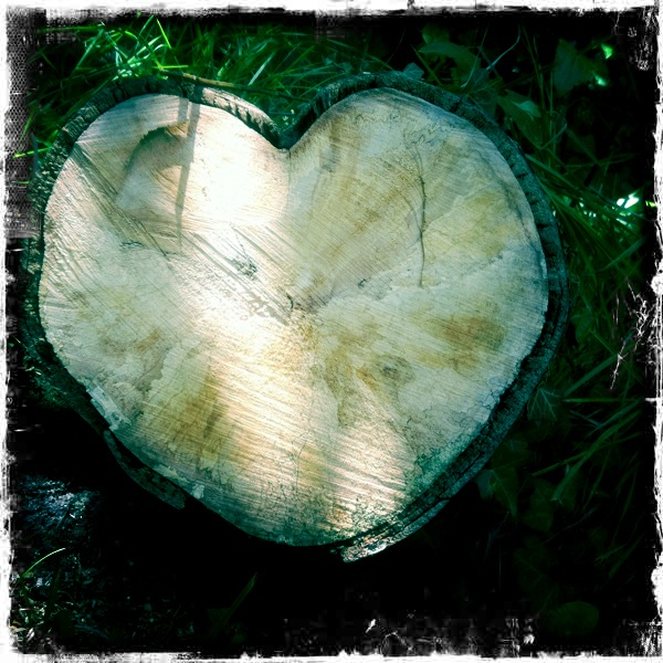 Hip 332415953.443667