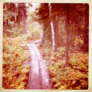 Hip 336145684.957401