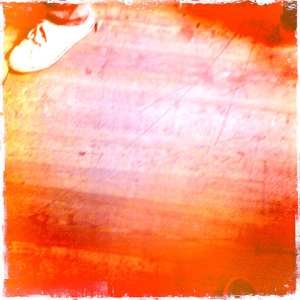 Hip 336156385.630450