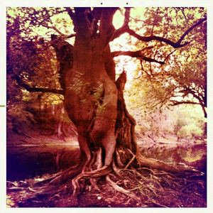 Hip 336262867.701328