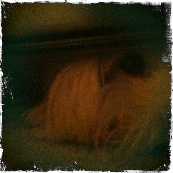 Hip 335539902.299109