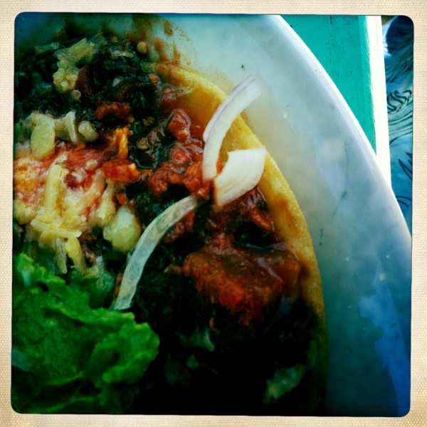 Hip 336249451.754894