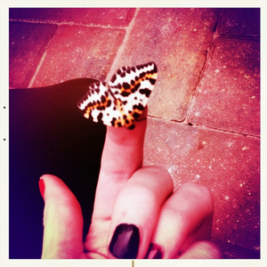 Hip 331666684.430549