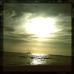 Hip 336243699.205946