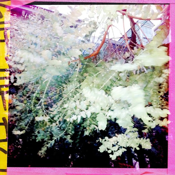 Hip 335357184.375221