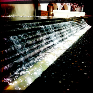 Hip 334161528.149896