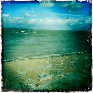 Hip 336147850.158886