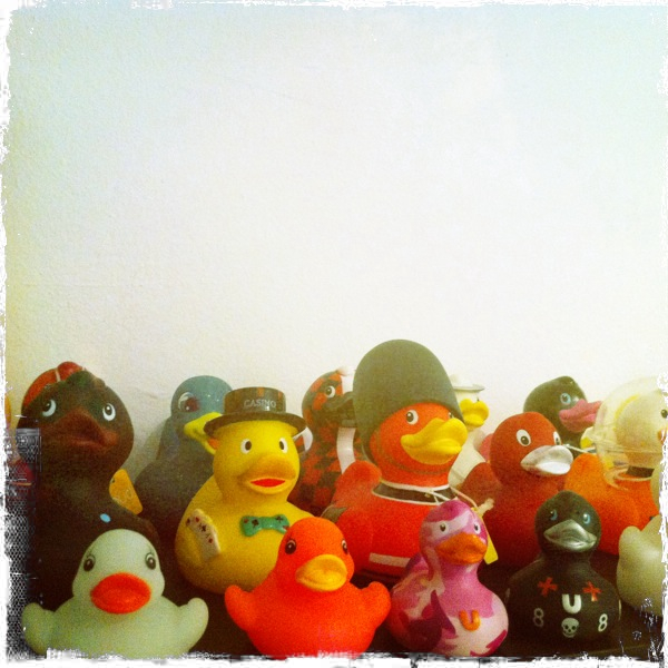 Hip 336343859.478524