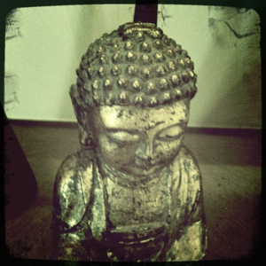 Hip 336343901.494470