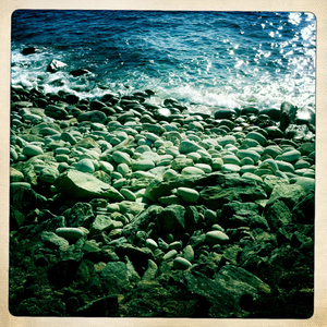 Hip 336240798.825096