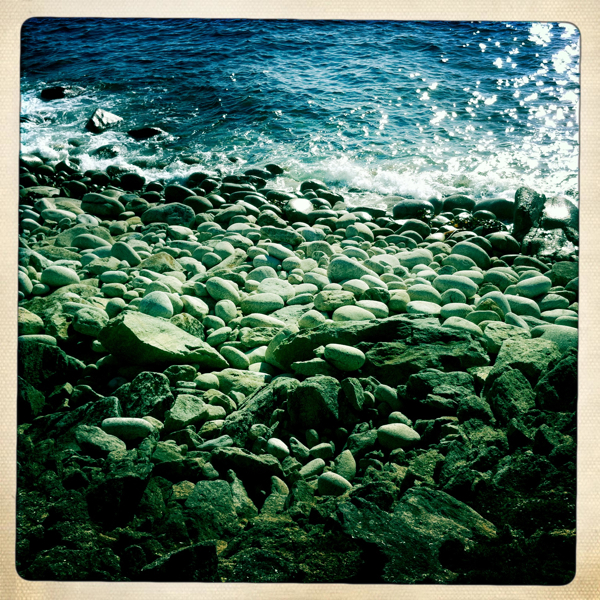 Hip 336240798.825096