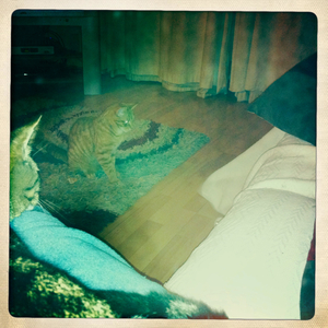 Hip 336344666.504679