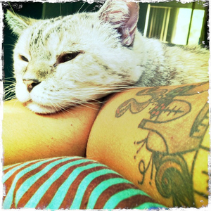 Hip 336245022.998628