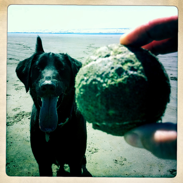 Hip 331504919.275941