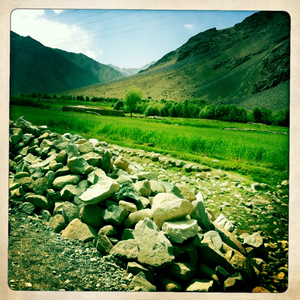 Hip 331809233.222778