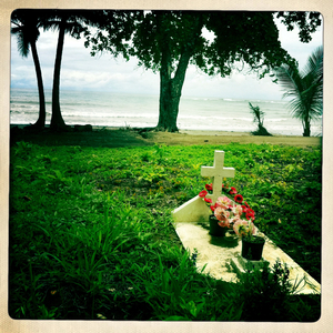 Hip 336335390.560663