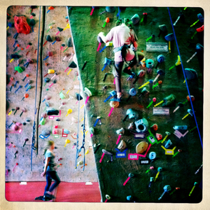 Hip 335836330.999675