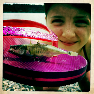 Hip 332716845.295843