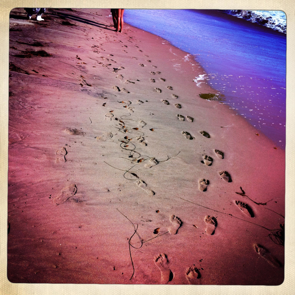 Hip 336010734.554071