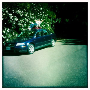 Hip 336351058.365659