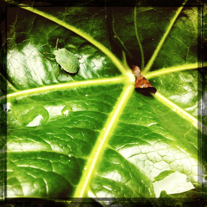 Hip 336225740.489999