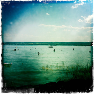 Hip 336059305.194684