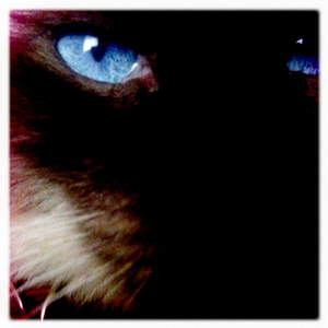 Hip 336353017.331898