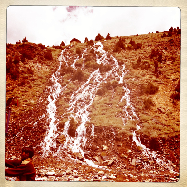 Hip 331538020.537988