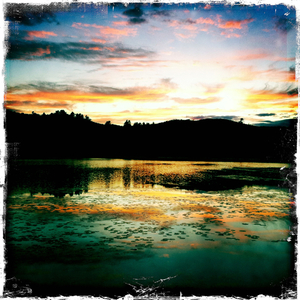 Hip 336353881.802947