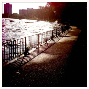 Hip 329182481.929237