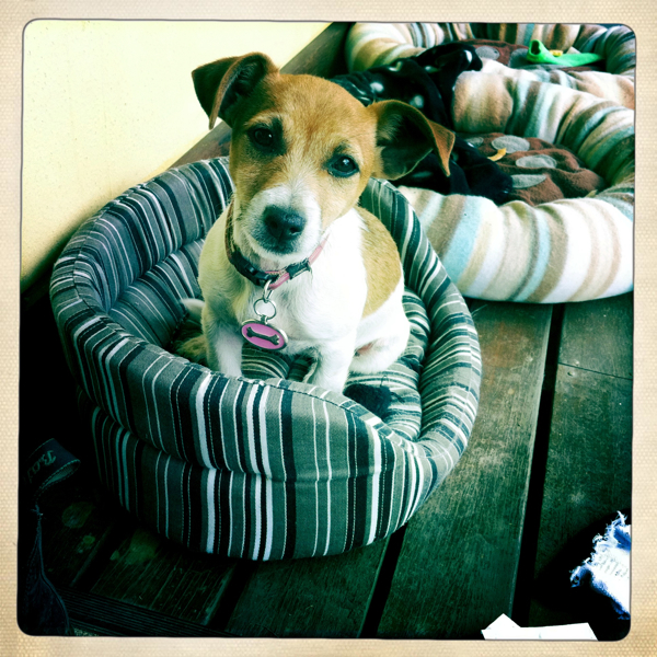 Hip 336357391.615173