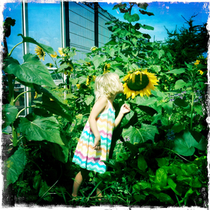 Hip 332784556.893262