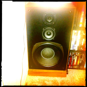 Hip 336356946.271417