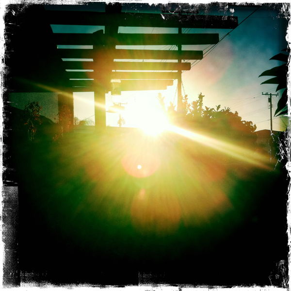 Hip 336361733.932212