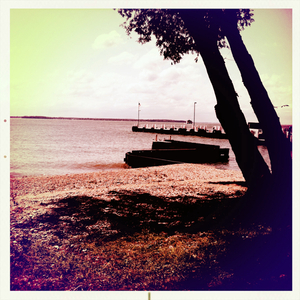 Hip 336240596.955004